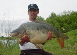 Fotografii de profil